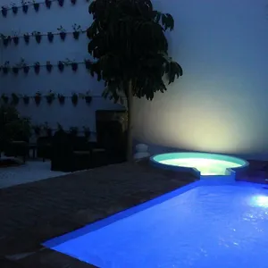 Casa-patio Palmeras Córdova